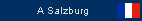 Les Yes Men � Salzburg